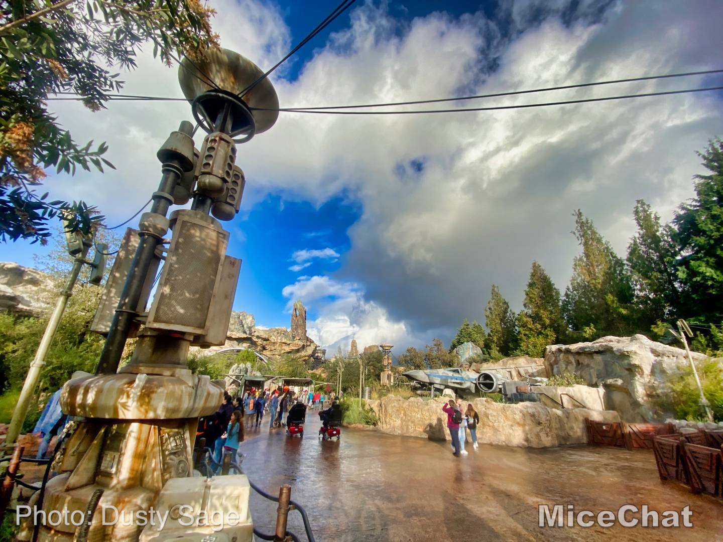 , Disneyland News – Black Friday Surprise Update