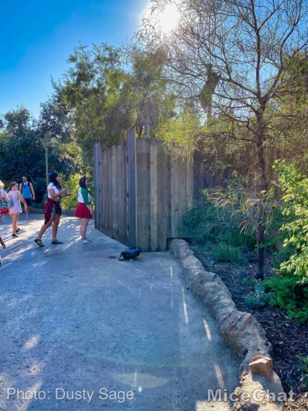 , Disneyland Update: Treehouse Troubles,  Christmas Crush & Cast Member Cheap-out