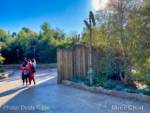 Disneyland-News-Star-Wars-Walls-4
