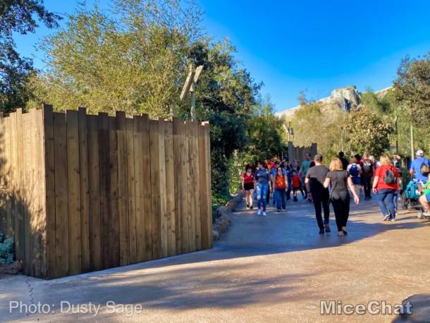 , Disneyland Update: Treehouse Troubles,  Christmas Crush & Cast Member Cheap-out