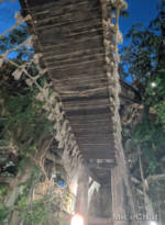 Disneyland-News-Tarzan-Bridge-Fail-Guest-3