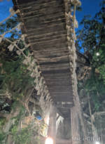 Disneyland-News-Tarzan-Bridge-Fail-Guest-3