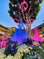 Disneyland-News-downtown-disney-blue-pink-rings