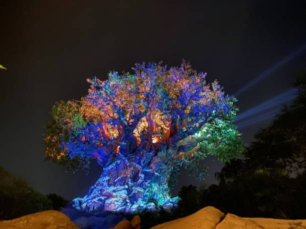 , Dateline Disney World: Animal Kingdom Holiday Celebrations