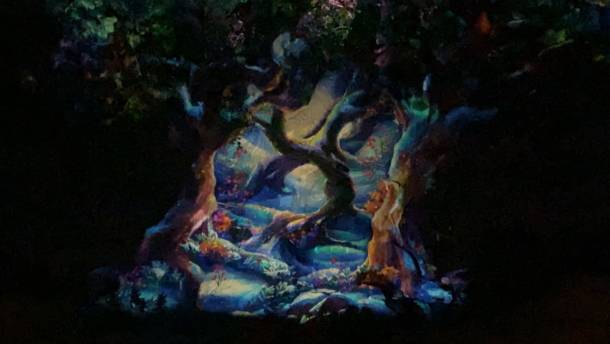 , Dateline Disney World: Animal Kingdom Holiday Celebrations