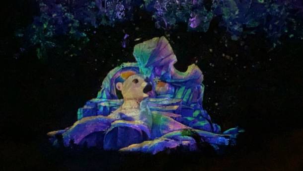 , Dateline Disney World: Animal Kingdom Holiday Celebrations