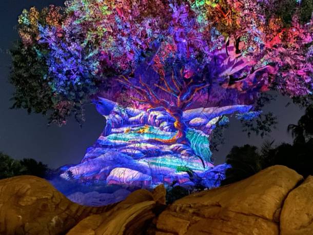 , Dateline Disney World: Animal Kingdom Holiday Celebrations