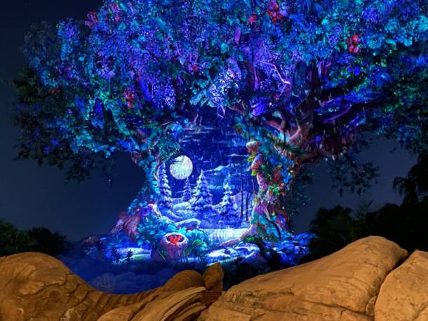 , Dateline Disney World: Animal Kingdom Holiday Celebrations