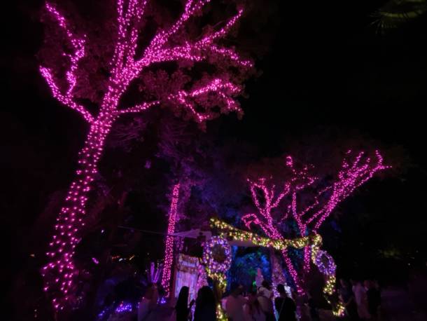 , Dateline Disney World: Animal Kingdom Holiday Celebrations