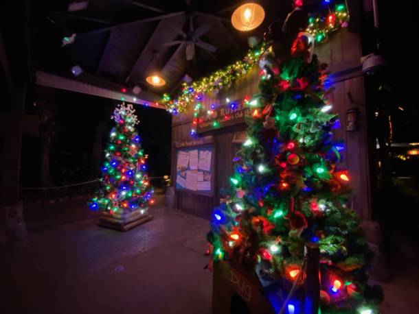 The meet and greet for Russel and Dug has two trees inspired by their characters.