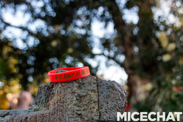 , Disneyland Update: Holiday Presto Chango – Everything New is Old Again