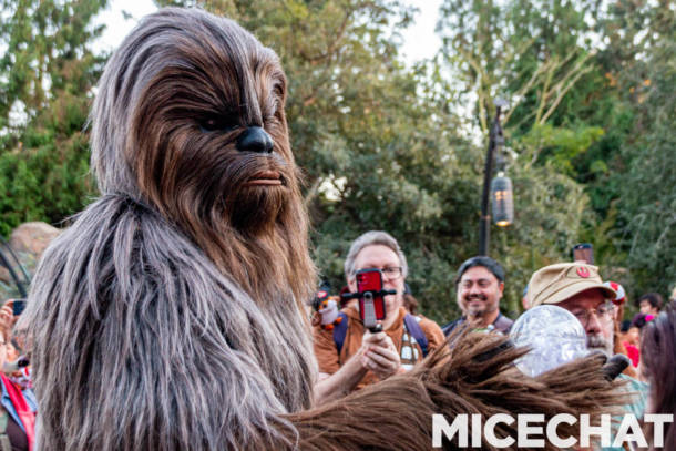 , Disneyland Update: Holiday Presto Chango – Everything New is Old Again
