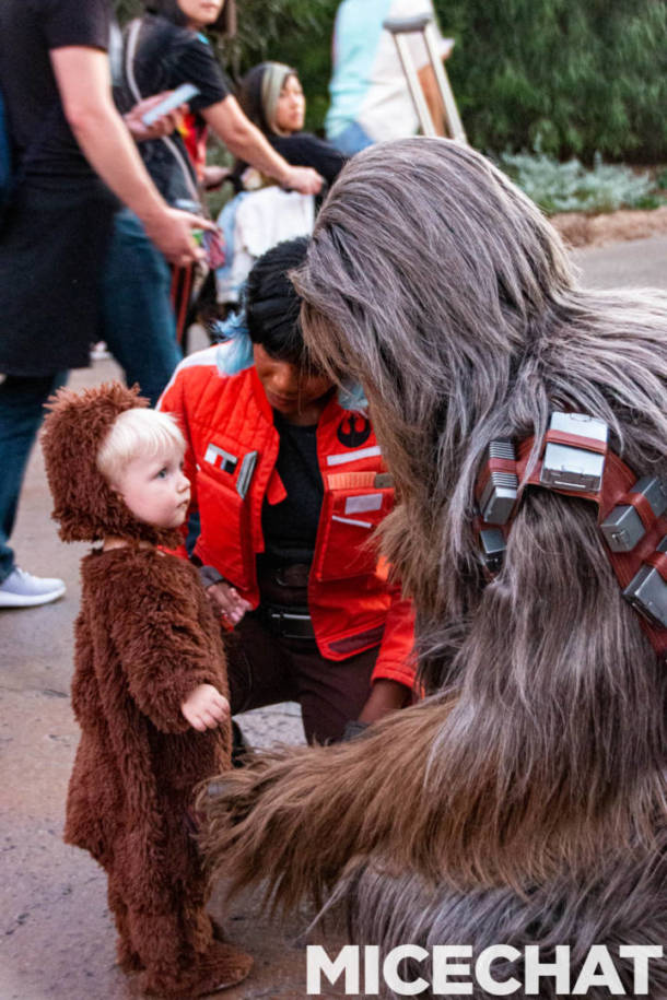 , Disneyland Update: Holiday Presto Chango – Everything New is Old Again