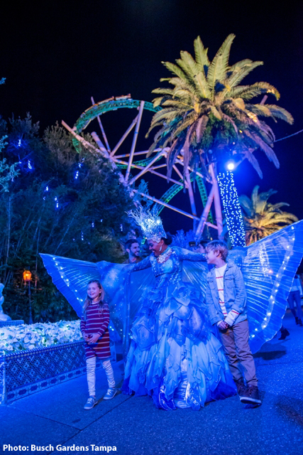 , Busch Gardens Tampa Delivers Lights, Sights, and Heights for Christmas