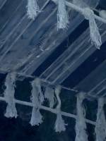 Tarzan-Bridge-Broken-Slat-MiceChat