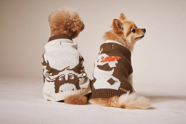 Frozen 2 Gift guide, Into The Unknown – Not Your Typical Frozen 2 Gift Guide