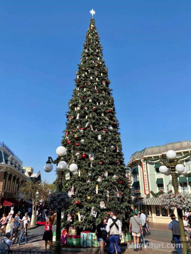 , Disneyland Update &#8211; Unpacking the Holidays for 2019