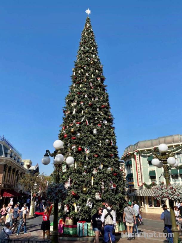 , Disneyland Update Part 2 – Not So Fast Pass