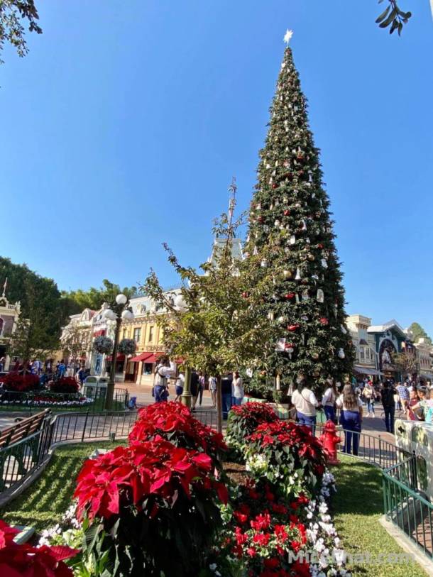 , Disneyland Update &#8211; Unpacking the Holidays for 2019