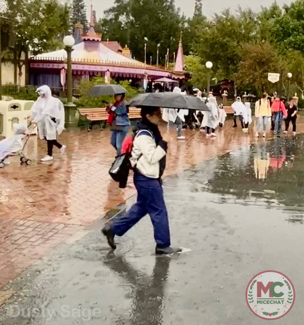 Disneyland Update, Disneyland Update &#8211; Glory, Disappointment, and Rainy Days