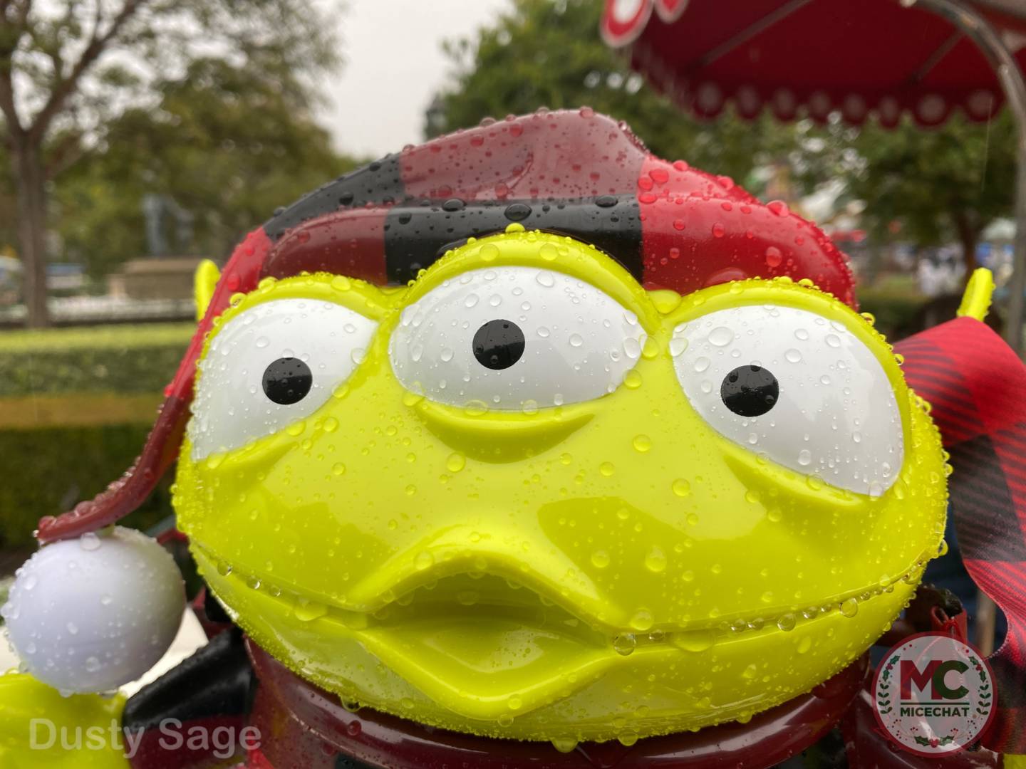 Disneyland Update, Disneyland Update – Glory, Disappointment, and Rainy Days