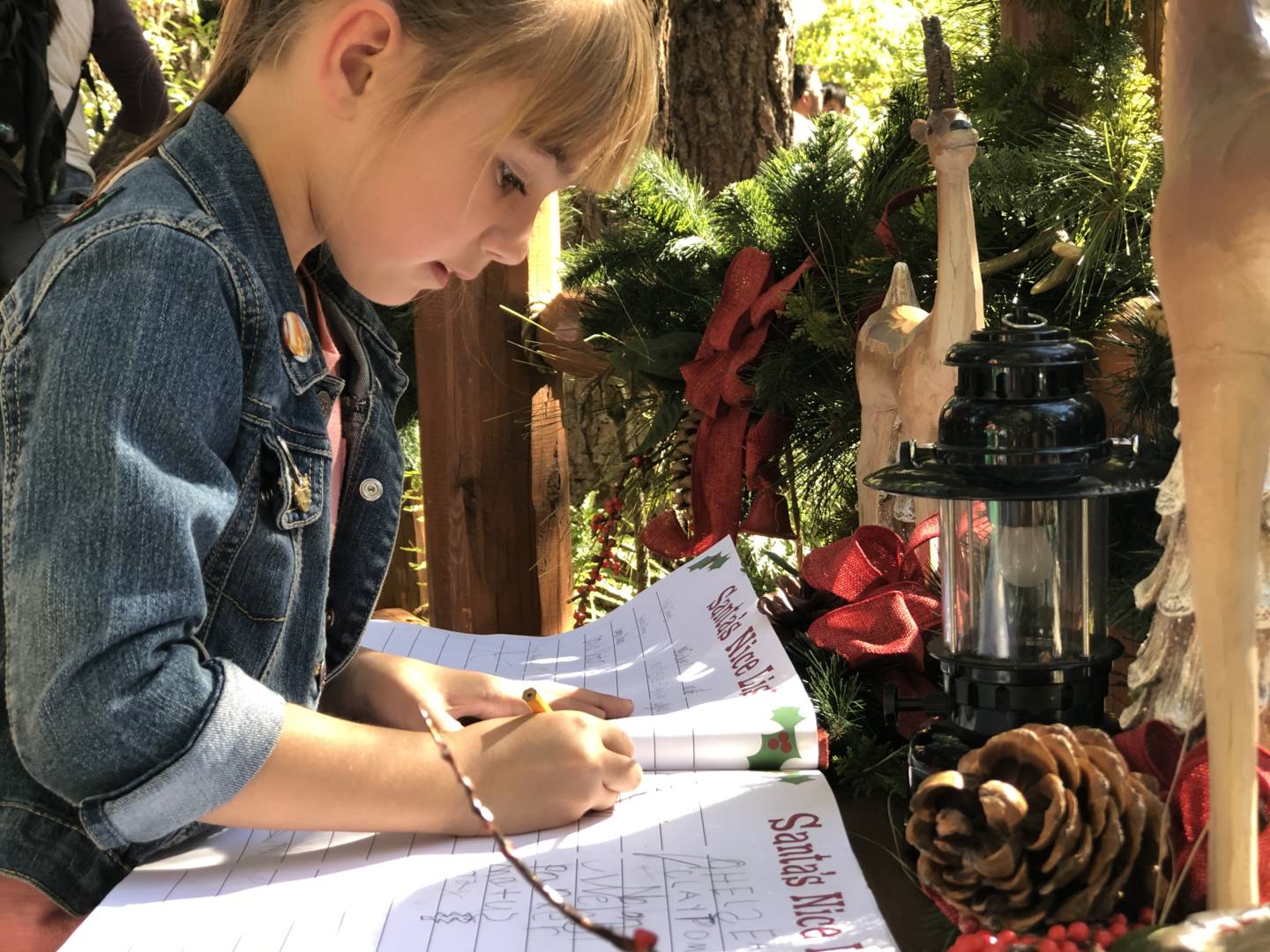 , Christmas for Kids at the Disneyland Resort