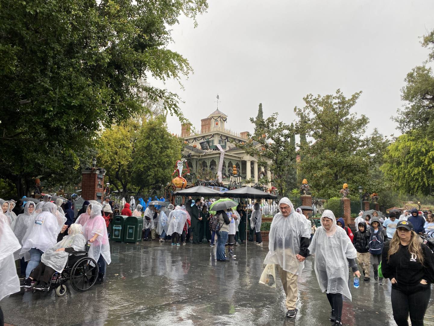Disneyland Update, Disneyland Update – Glory, Disappointment, and Rainy Days