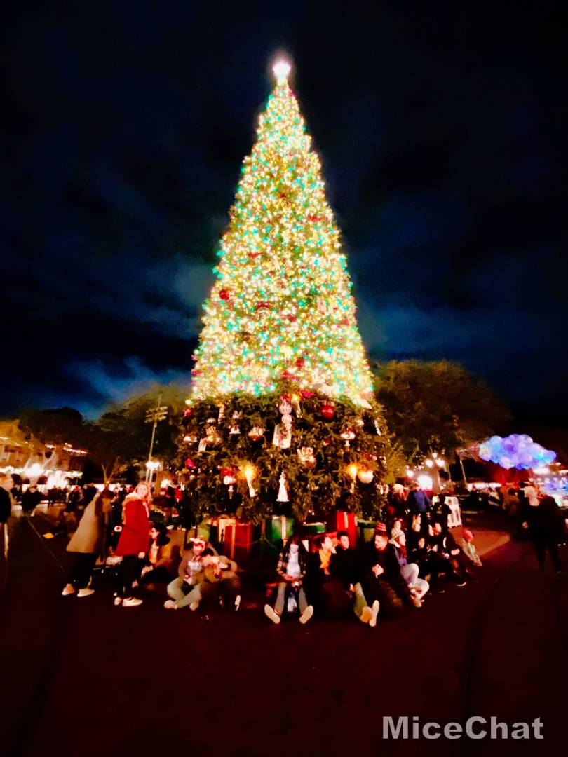 , Disneyland Update &#8211; Candlelight, Candy Canes &#038; Resistance Rising!