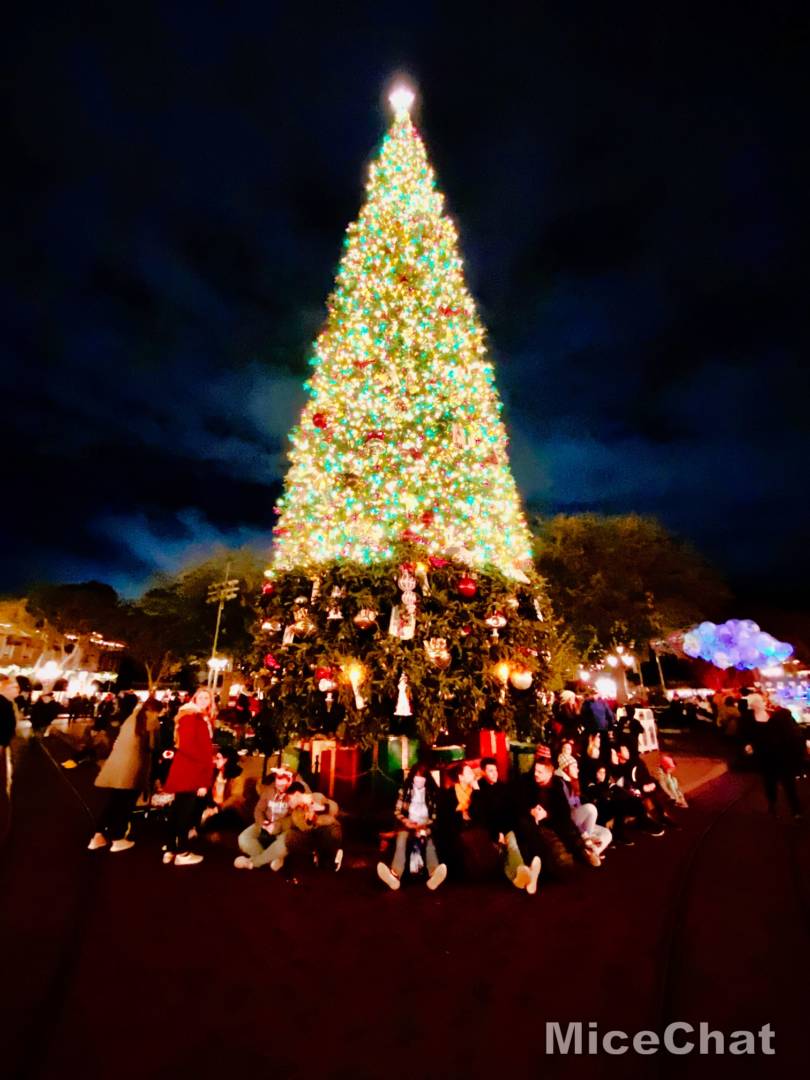 , Disneyland Update – Candlelight, Candy Canes & Resistance Rising!