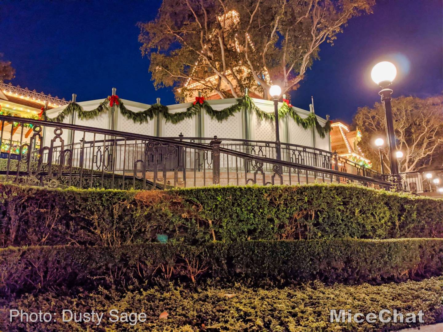 , Disneyland Update – Candlelight, Candy Canes & Resistance Rising!
