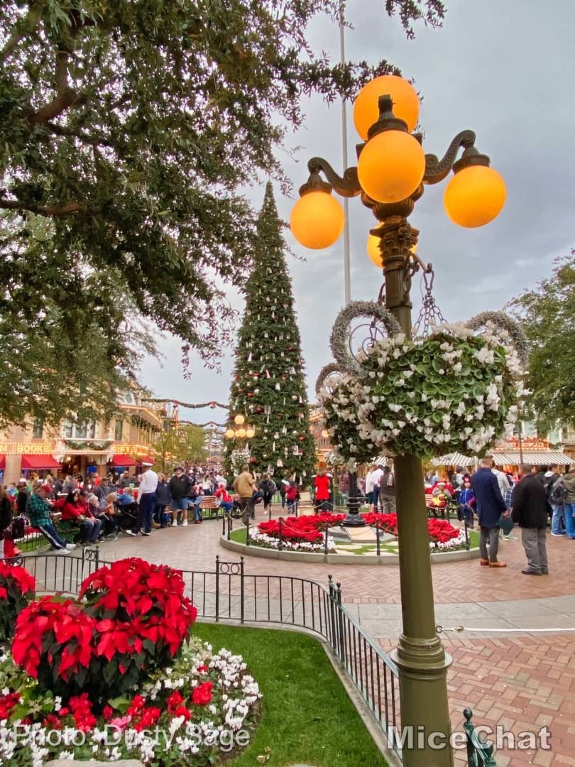 , Disneyland Update – Candlelight, Candy Canes & Resistance Rising!