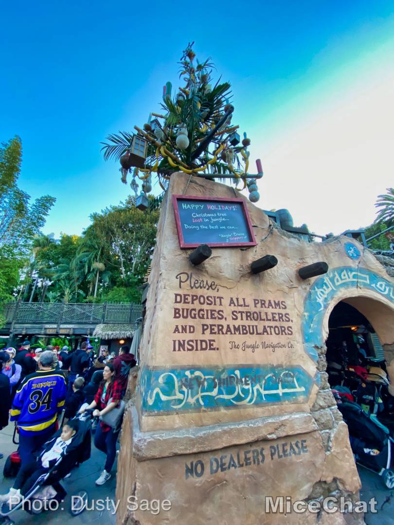 , Last Disneyland Update of the Decade &#8211; Ringing in 2020 with Massive Crowds