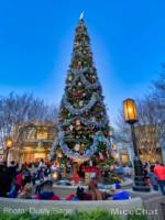 Disneyland-News-Christmas-DCA-1