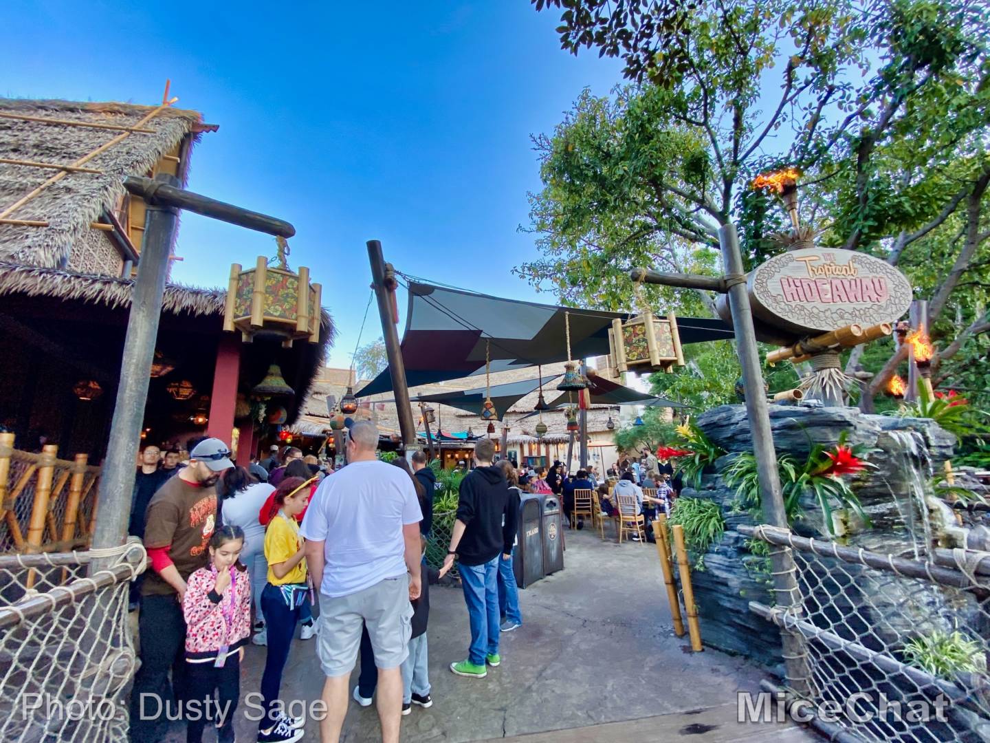 , Last Disneyland Update of the Decade &#8211; Ringing in 2020 with Massive Crowds