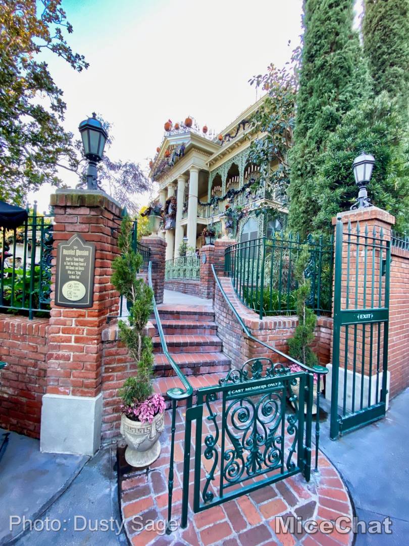 , Last Disneyland Update of the Decade – Ringing in 2020 with Massive Crowds