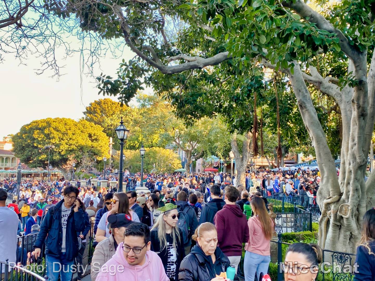 , Last Disneyland Update of the Decade – Ringing in 2020 with Massive Crowds