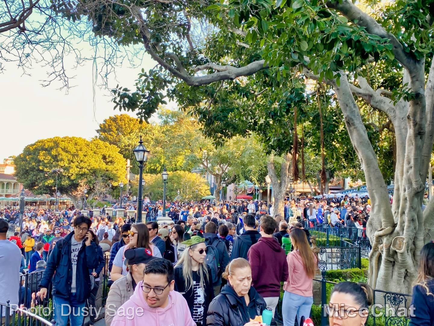 , Last Disneyland Update of the Decade &#8211; Ringing in 2020 with Massive Crowds