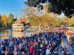 Disneyland-News-Crowds-New-Orleans-Square-1
