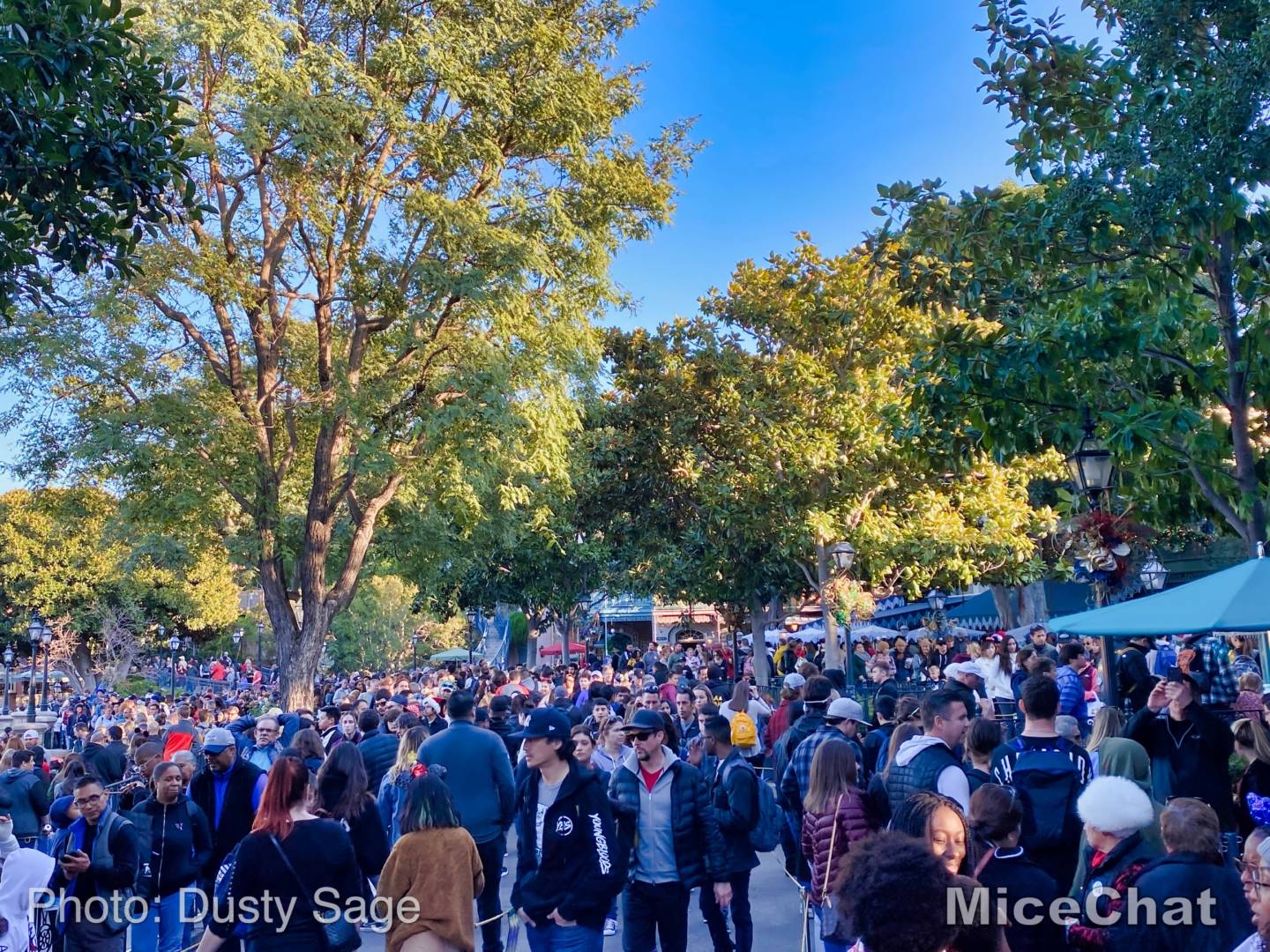 , Last Disneyland Update of the Decade &#8211; Ringing in 2020 with Massive Crowds