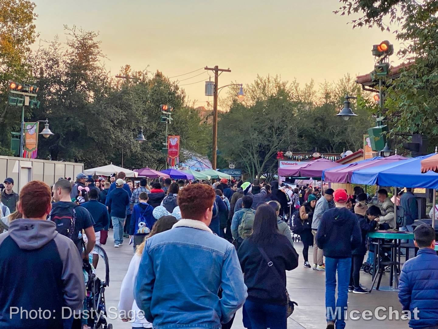 , Last Disneyland Update of the Decade &#8211; Ringing in 2020 with Massive Crowds