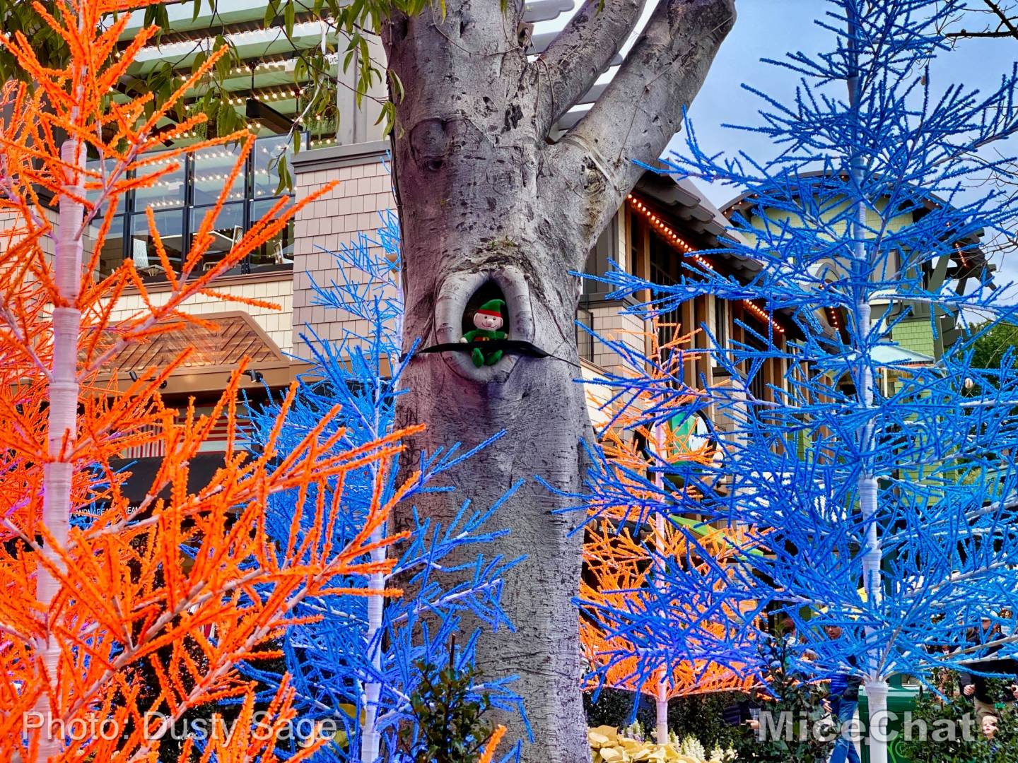, Disneyland Update – Candlelight, Candy Canes & Resistance Rising!