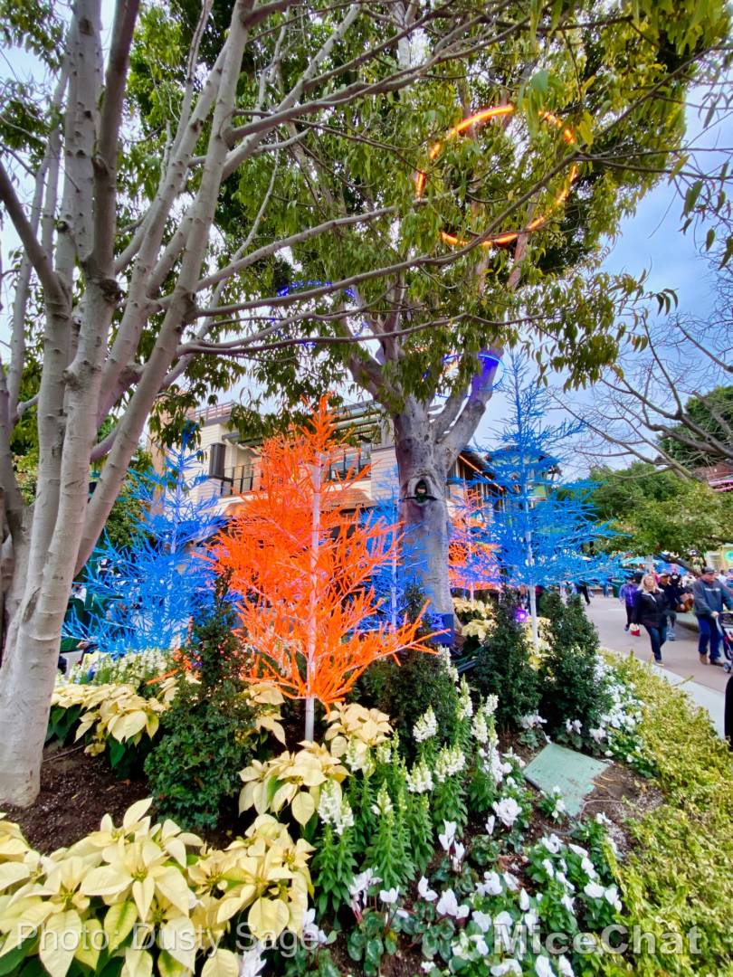 , Disneyland Update – Candlelight, Candy Canes & Resistance Rising!