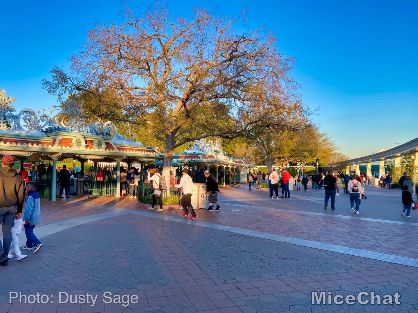 , Last Disneyland Update of the Decade &#8211; Ringing in 2020 with Massive Crowds