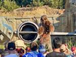 Disneyland-News-Galaxys-Edge-Chewy-Wand