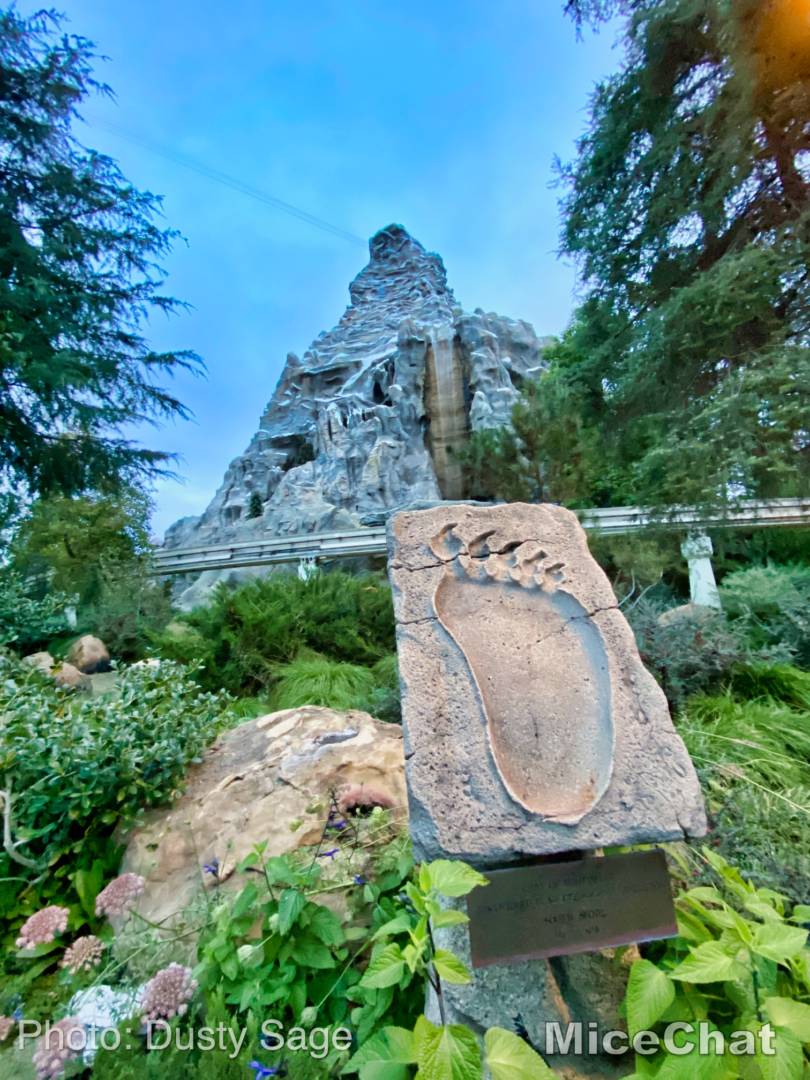 Best Disneyland Thrill Ride, Best Disneyland Thrill Ride Revealed!