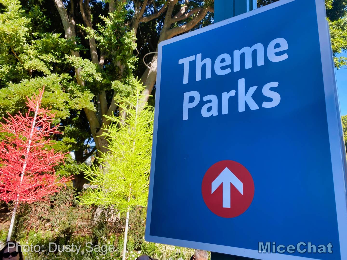 , Last Disneyland Update of the Decade &#8211; Ringing in 2020 with Massive Crowds