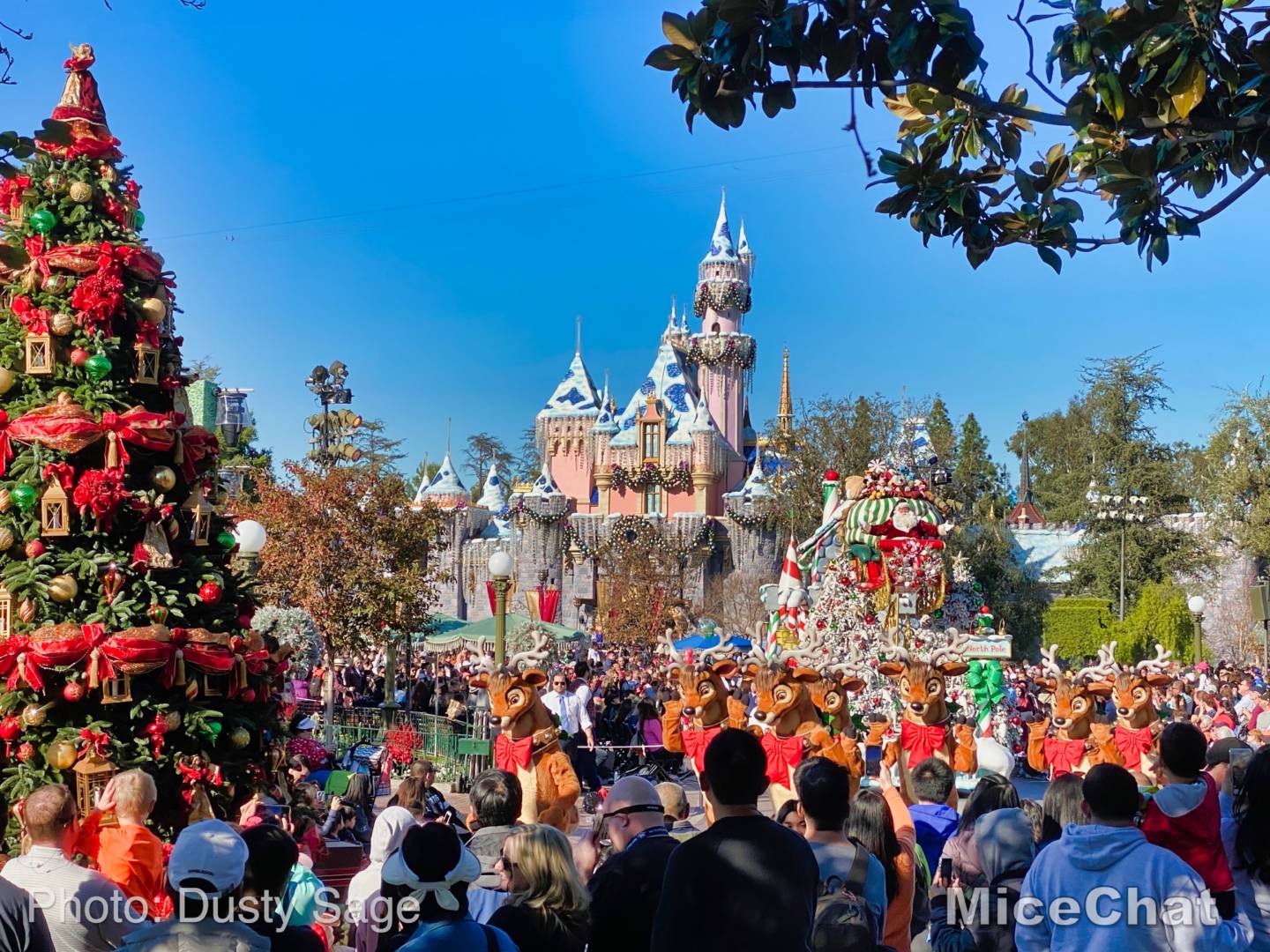 , Last Disneyland Update of the Decade &#8211; Ringing in 2020 with Massive Crowds