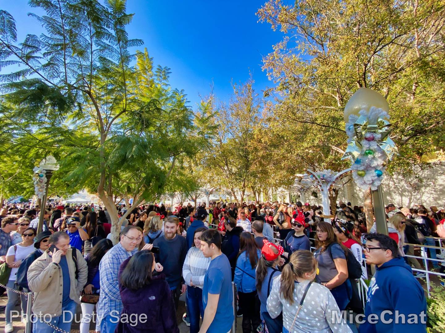 , Last Disneyland Update of the Decade &#8211; Ringing in 2020 with Massive Crowds