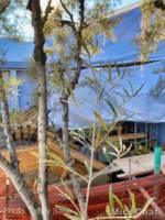 Disneyland-News-tomorrowland-stairs