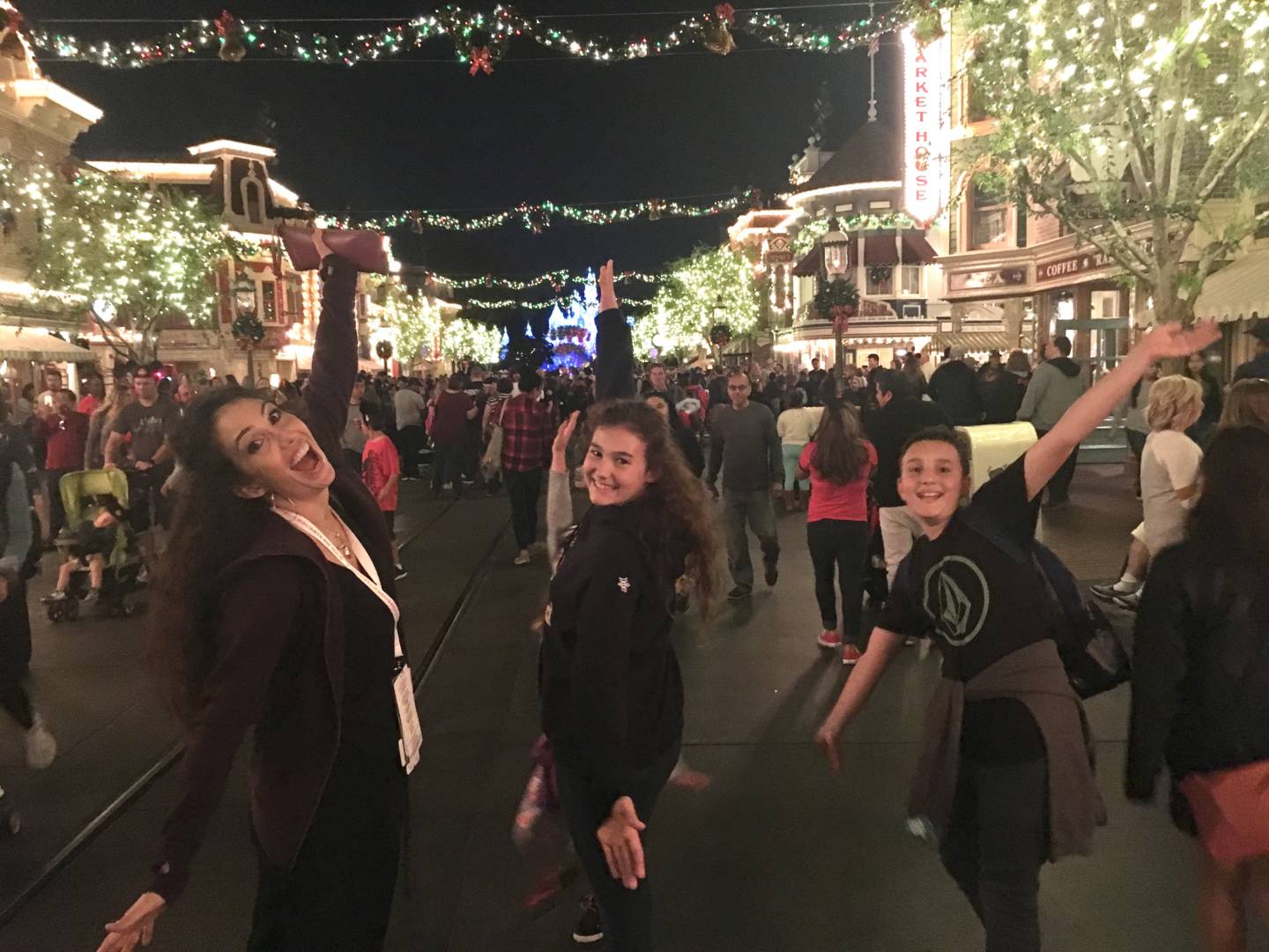 , The Hoppers – Top Ten Holiday Spots at the Disneyland Resort